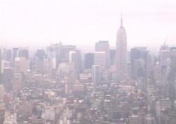 The New York Skyline